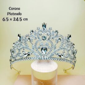 0213 corona PLATEADO EH3010 ( CODIGO REPETIDO REVISAR EL MODELO)