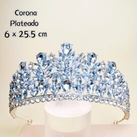 0210 corona PLATEADO EH76078