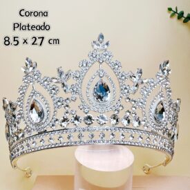 0221 corona PLATEADO EH76071 O EH7631