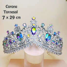 0228 corona TORNASOL PLATEADO EH75690