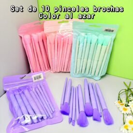 0459 set de 10 pinceles brochas al azar TG03