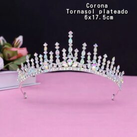 0532 corona TORNASOL PLATEADO EH77301