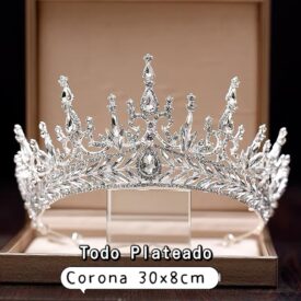 0538 corona TODO PLATEADO EH7608