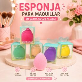 2782 ESPONJAS PARA MAQUILLAR EN CAJITA HUEVO
