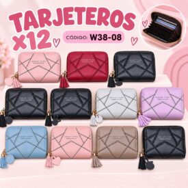 7146 TARJETERO COLOR AL AZAR W38-08