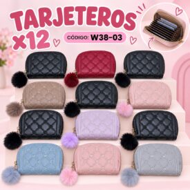 7147 TARJETERO COLOR AL AZAR W38-03