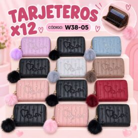 7148 TARJETERO COLOR AL AZAR W38-05