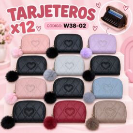 7149 TARJETERO COLOR AL AZAR W38-02