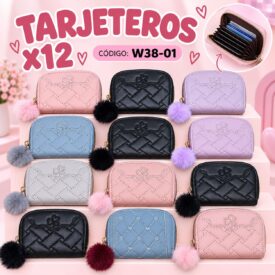 7150 TARJETERO COLOR AL AZAR W38-01