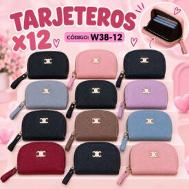 7151 TARJETERO COLOR AL AZAR W38-12