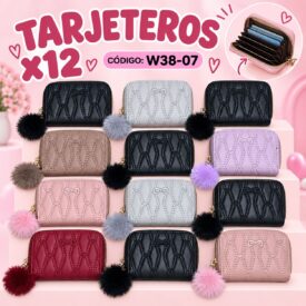 7152 TARJETERO COLOR AL AZAR W38-07