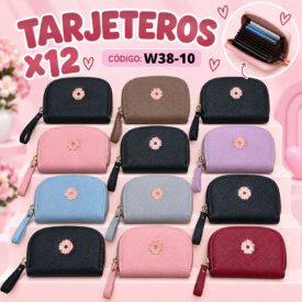 7154 TARJETERO COLOR AL AZAR W38-10