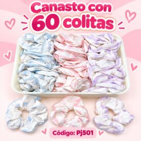 7209 canasto colitas x 60 und PJ501
