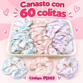 7211 canasto colitas x 60 und PJ503
