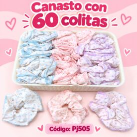7213 canasto colitas x 60 und PJ505