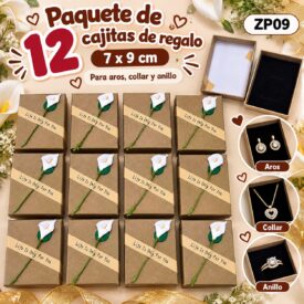 7520 caja de regalo x 12und ZP09